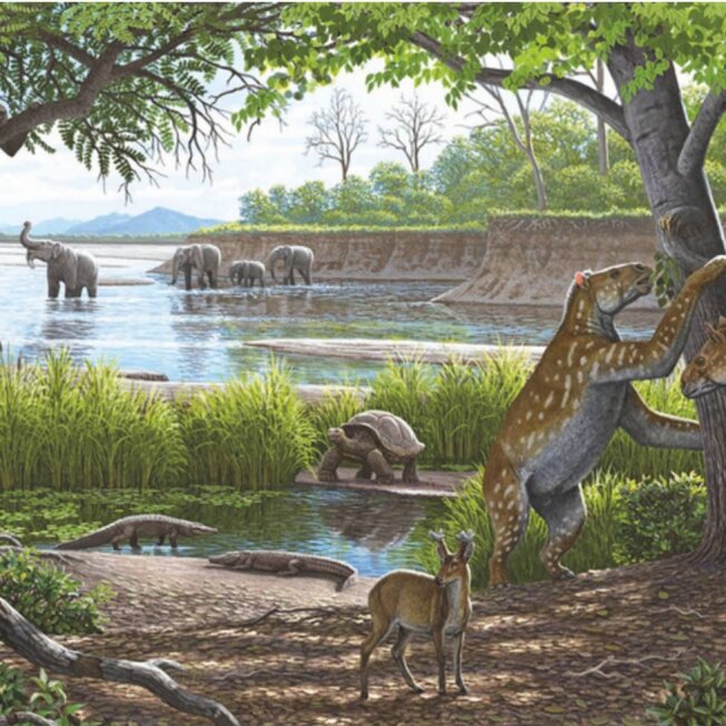 Sonderausstellung - Molassic Park