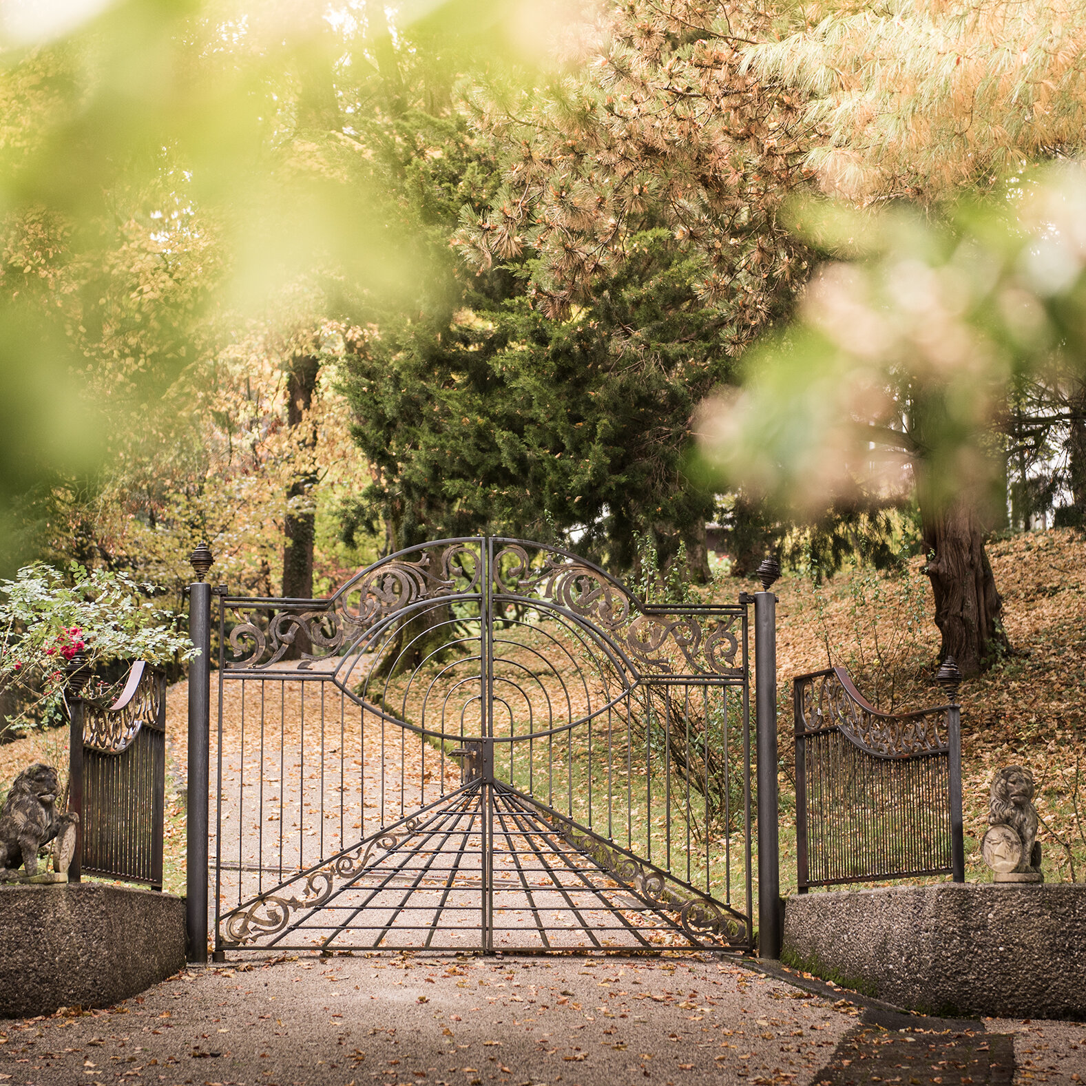Die Sehnsucht nach Romantik