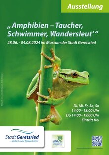 Amphibien – Taucher, Schwimmer, Wandersleut'