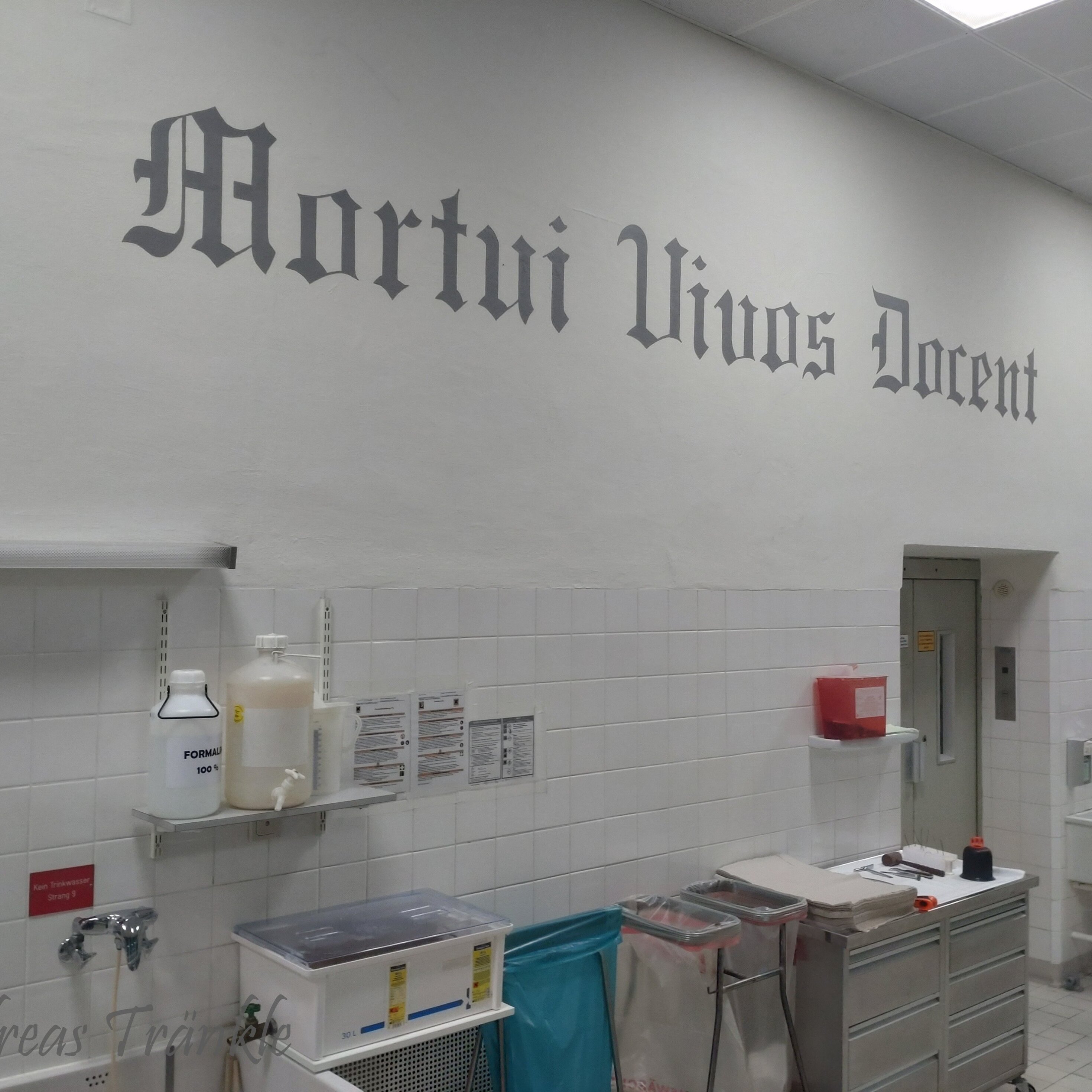 Leichenpräparator Alfred Riepertinger