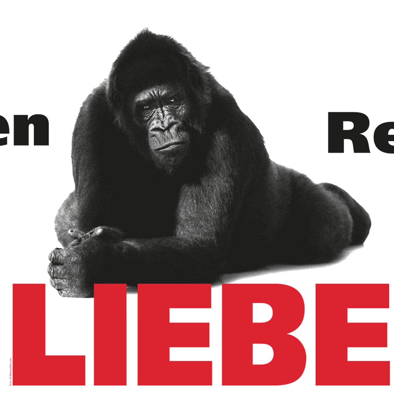 Hagen Rether - LIEBE