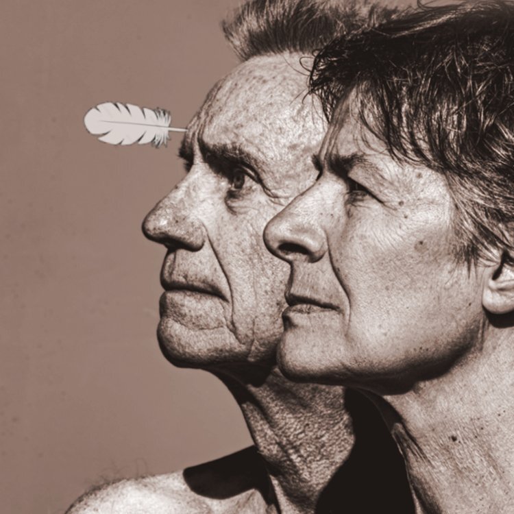 Faltsch Wagoni - Die letzten Ironesen