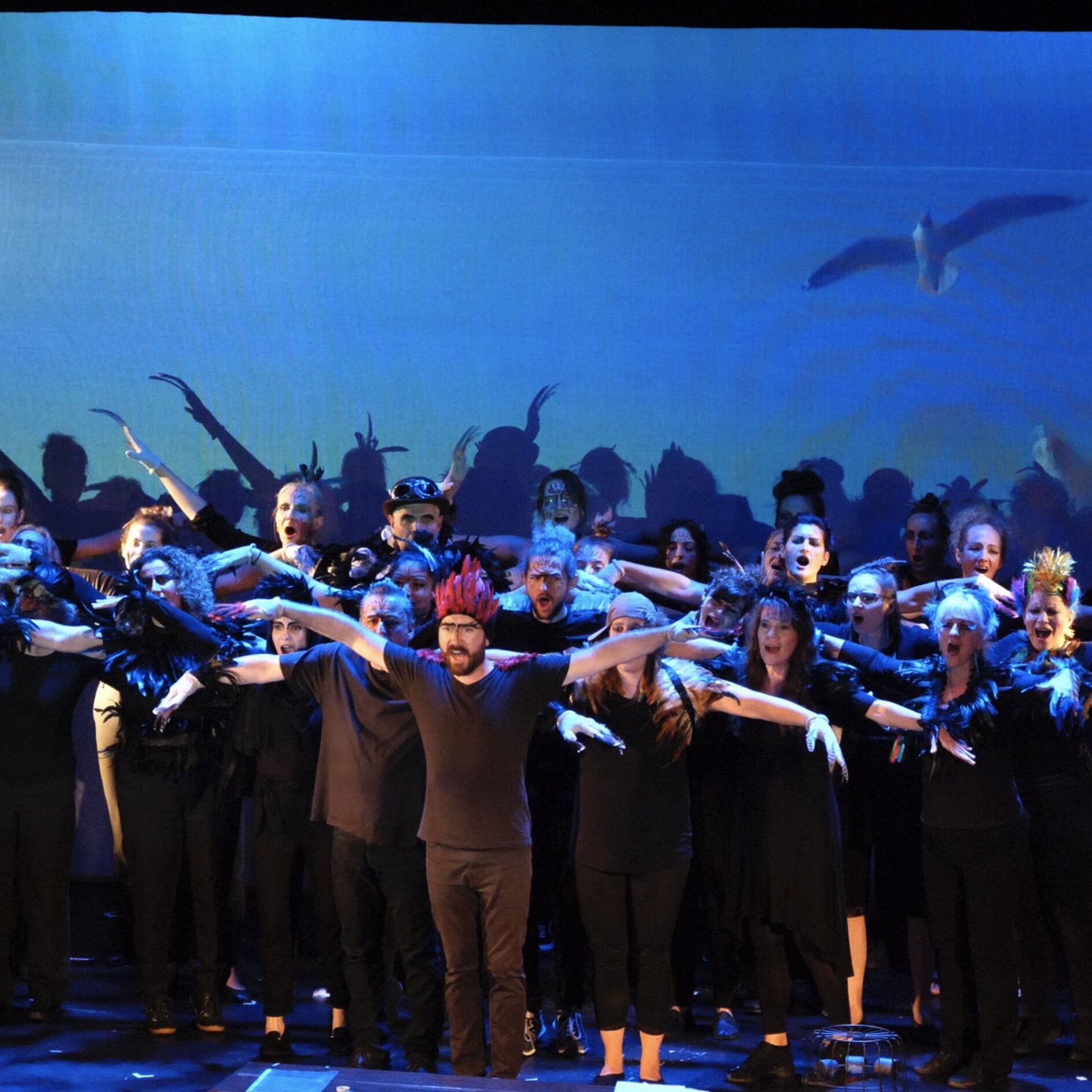 Konferenz der Vögel