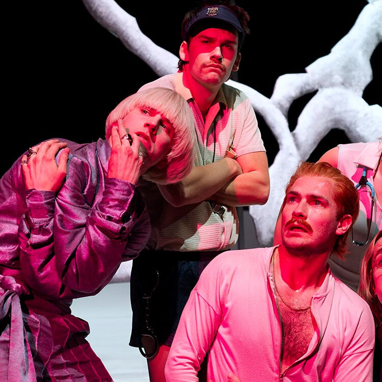 Der Besuch der alten Dame