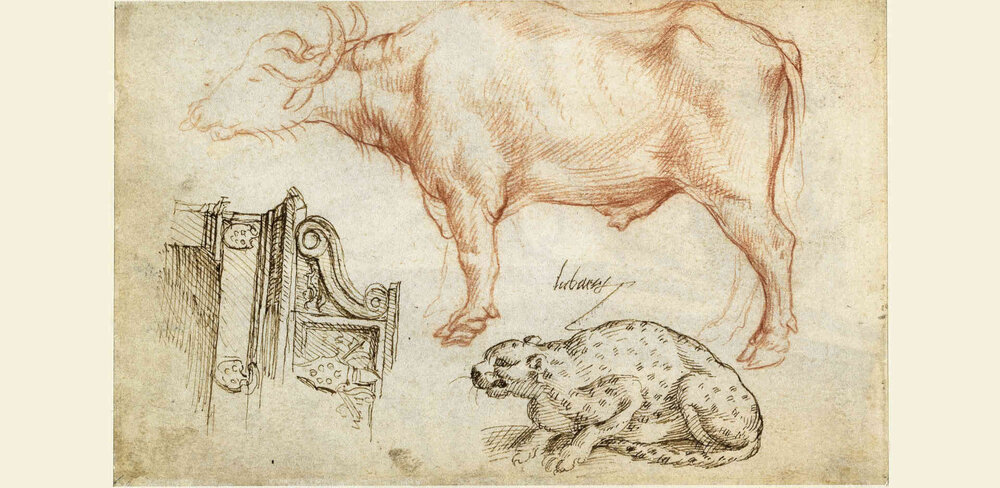 Maarten van Heemskerck, Verschiedene Studien, um 1532–1536, Feder in Braun, Rötel