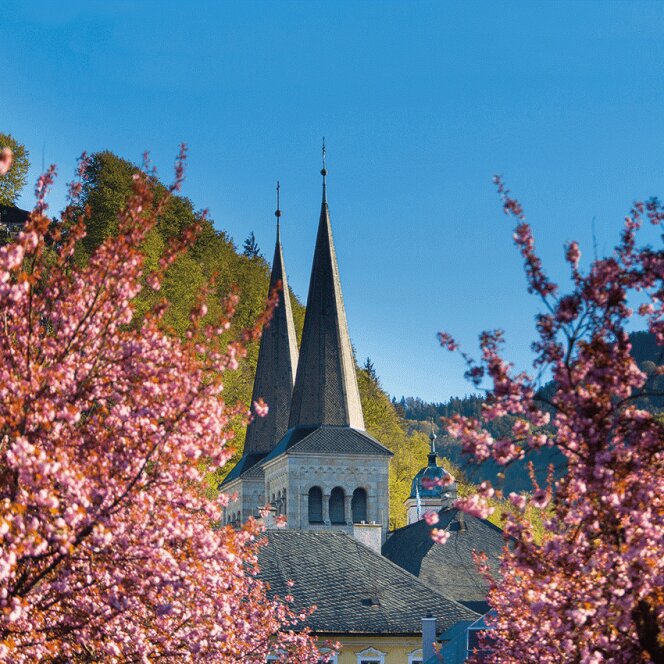 Geführter Spaziergang durch den historischen Ortskern