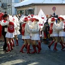 Traditioneller Faschingszug 