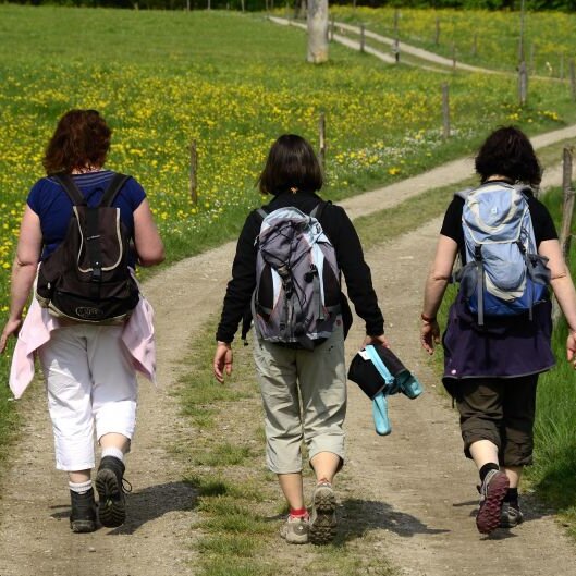 Geführte Wanderung "Auf Umwegen zur Moraltalm"