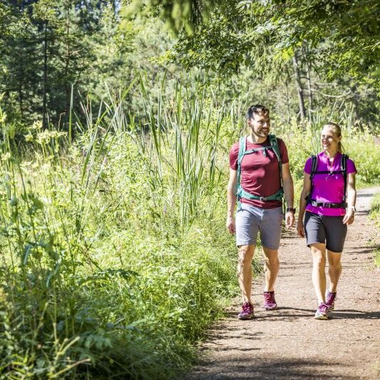 Naturwanderung zum Langbürgnersee mit Herrn Obermaier zum Langbürgnersee