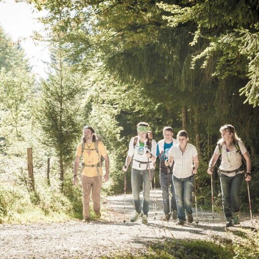 Bergwanderung für Gäste zur Schwaigeralm