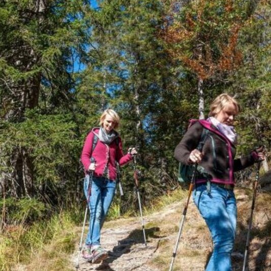 Begleitete Wanderung über Panoramaweg zum Krepelschrofen und Bärenhöhle
