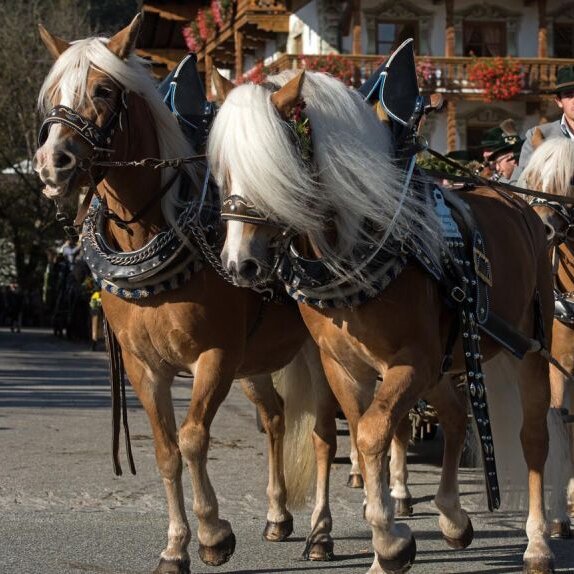 Niederaudorfer Leonhardifahrt zum 180. Mal