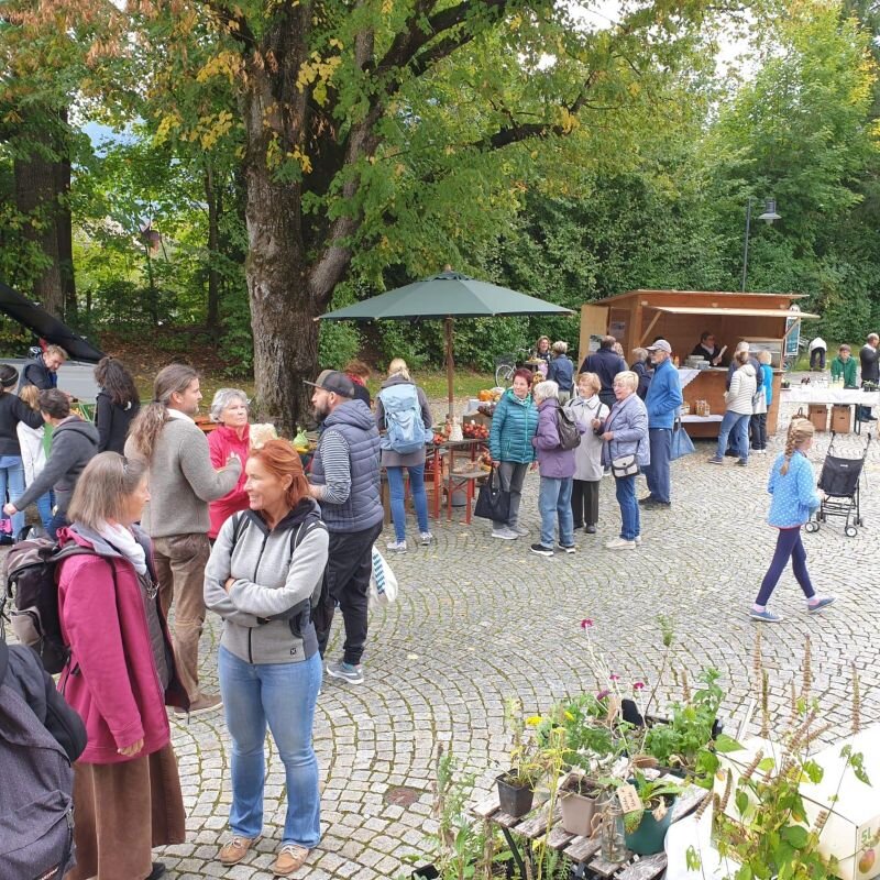 Frühjahrs - Pflanzenflohmarkt 