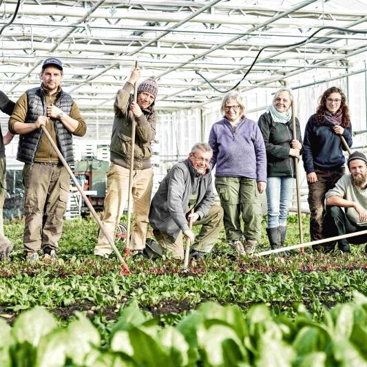 Erntefest & Jubiläum10 Jahre SoLaWi in Jolling