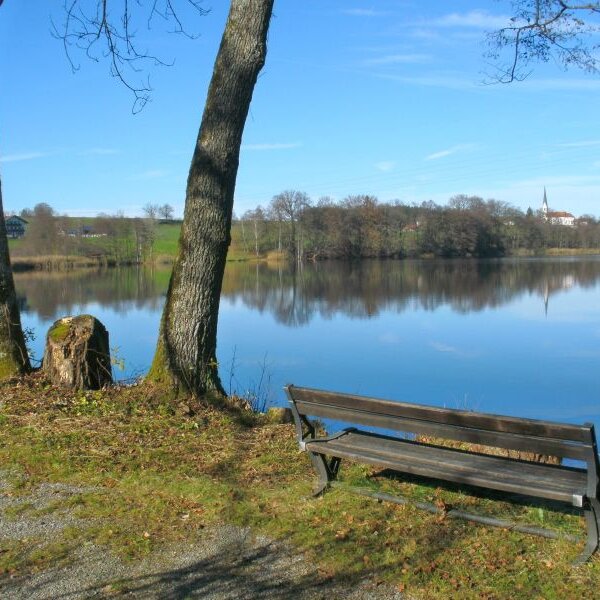 Naturwanderung mit Herrn Hering rund um Bad Endorf