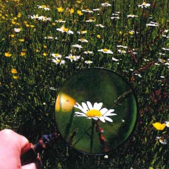 "Naturdetektive" Kindergruppe