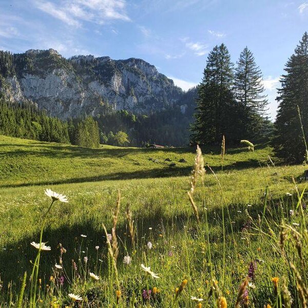 Wanderung zum Hocheck