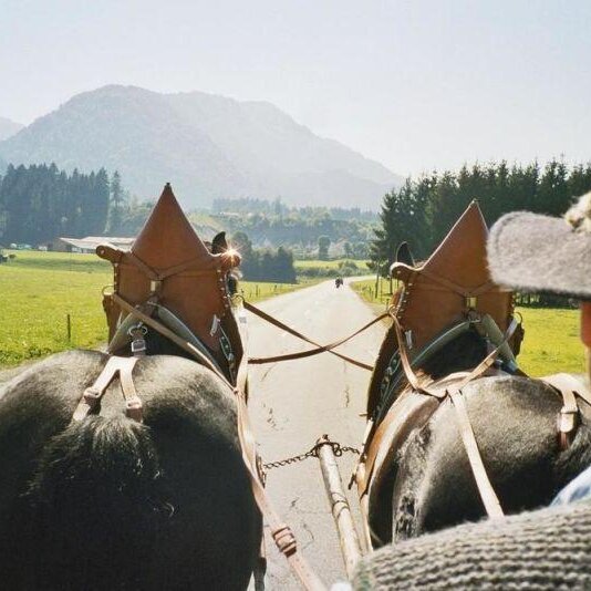 Kutschfahrten im Chiemgau