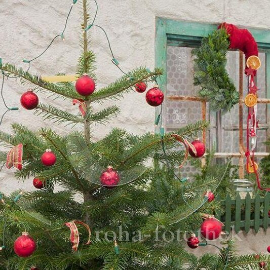Stephaniefeier und Christbaumversteigerung
