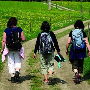 Geführte Wanderung "Buchberg"