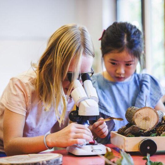 Fortbildung Stiftung Kinder forschen: Wimmelnde Welten