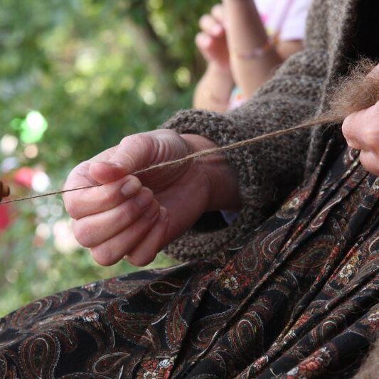 Spinnen - Vorführung