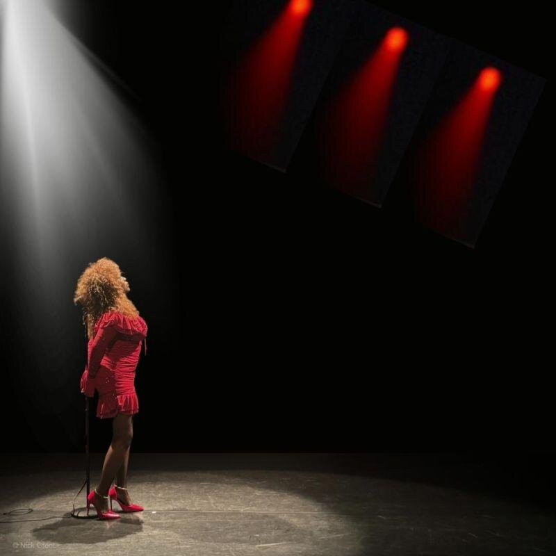 THE MAGIC OF TINA TURNER feat. DIVA TURNER