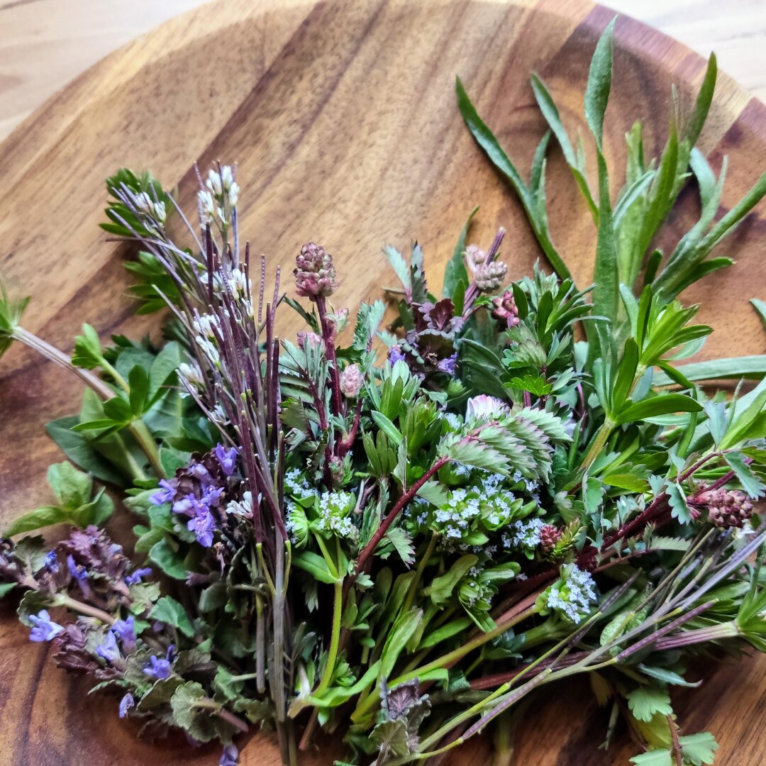 Räuchern und Tee von und mit Wildkräutern – Eine sinnliche Entdeckungsreise