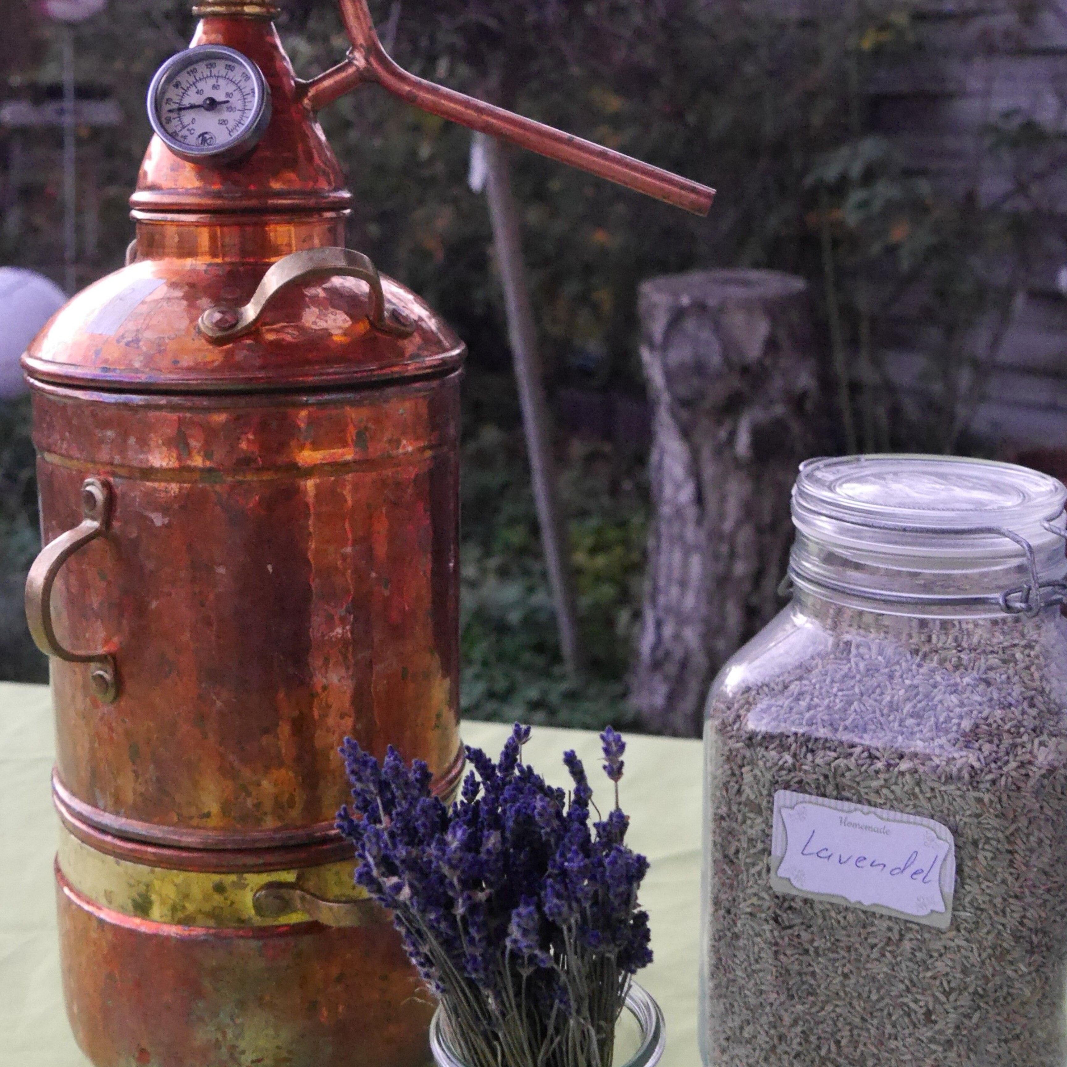 Ätherische Öle und Hydrolate selbst herstellen