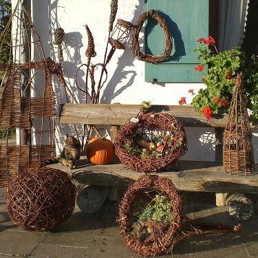 Weidenflechten - Herbst