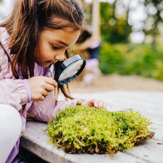 Fortbildung Stiftung Kinder forschen: Was macht der Schneehase ohne Schnee?