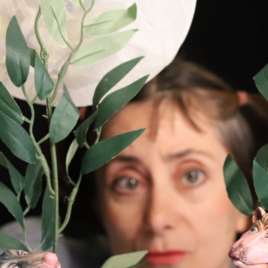 Figurentheater Weidringer " Der Wind in den Weiden"