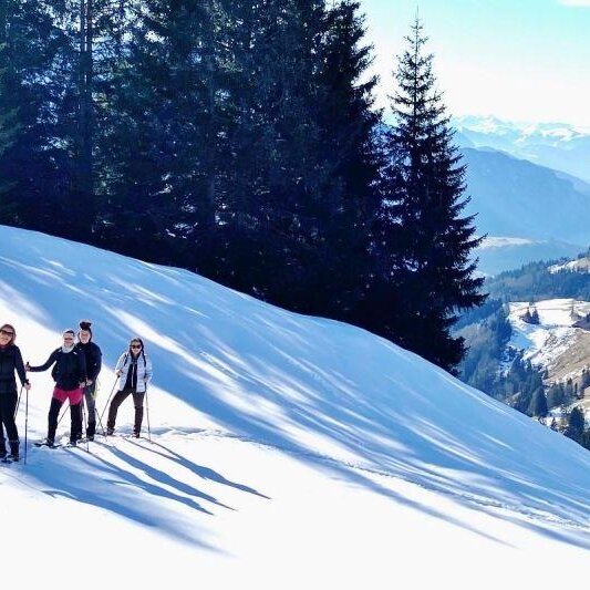 Winter- und Schneeschuhwanderung 
