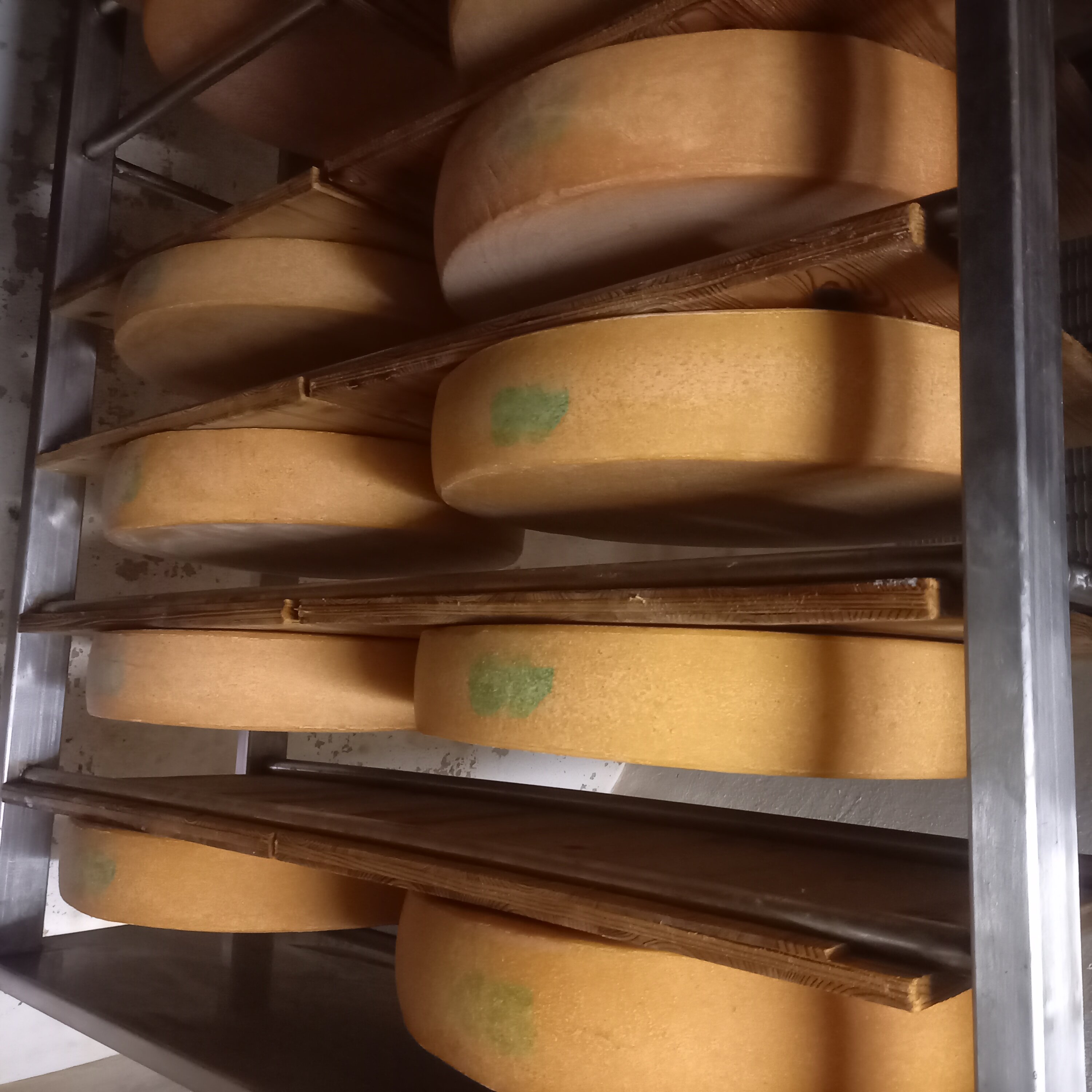 Besichtigung Bio-Hofkäserei mit Käseverkostung