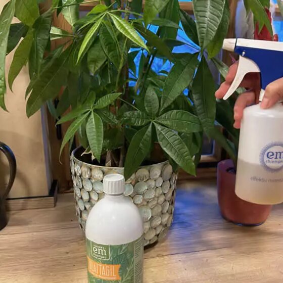 Lebendige Grünoasen