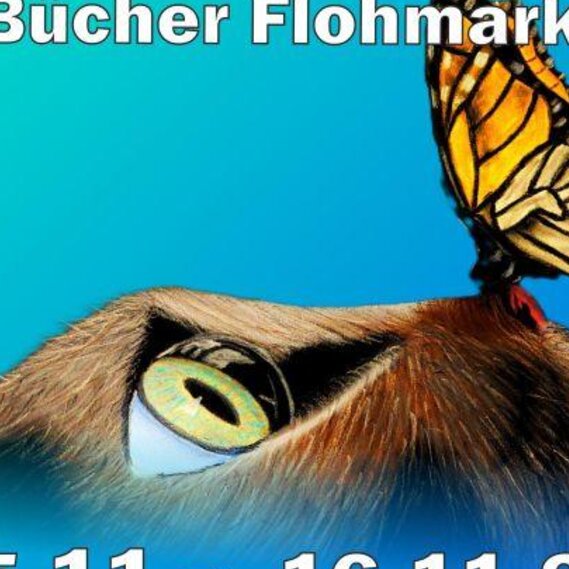 Jahresausstellung des Sauerlacher KünstlerKreises