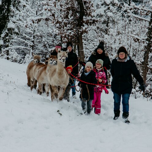 Familiensonntag "Einstimmung in den Advent"