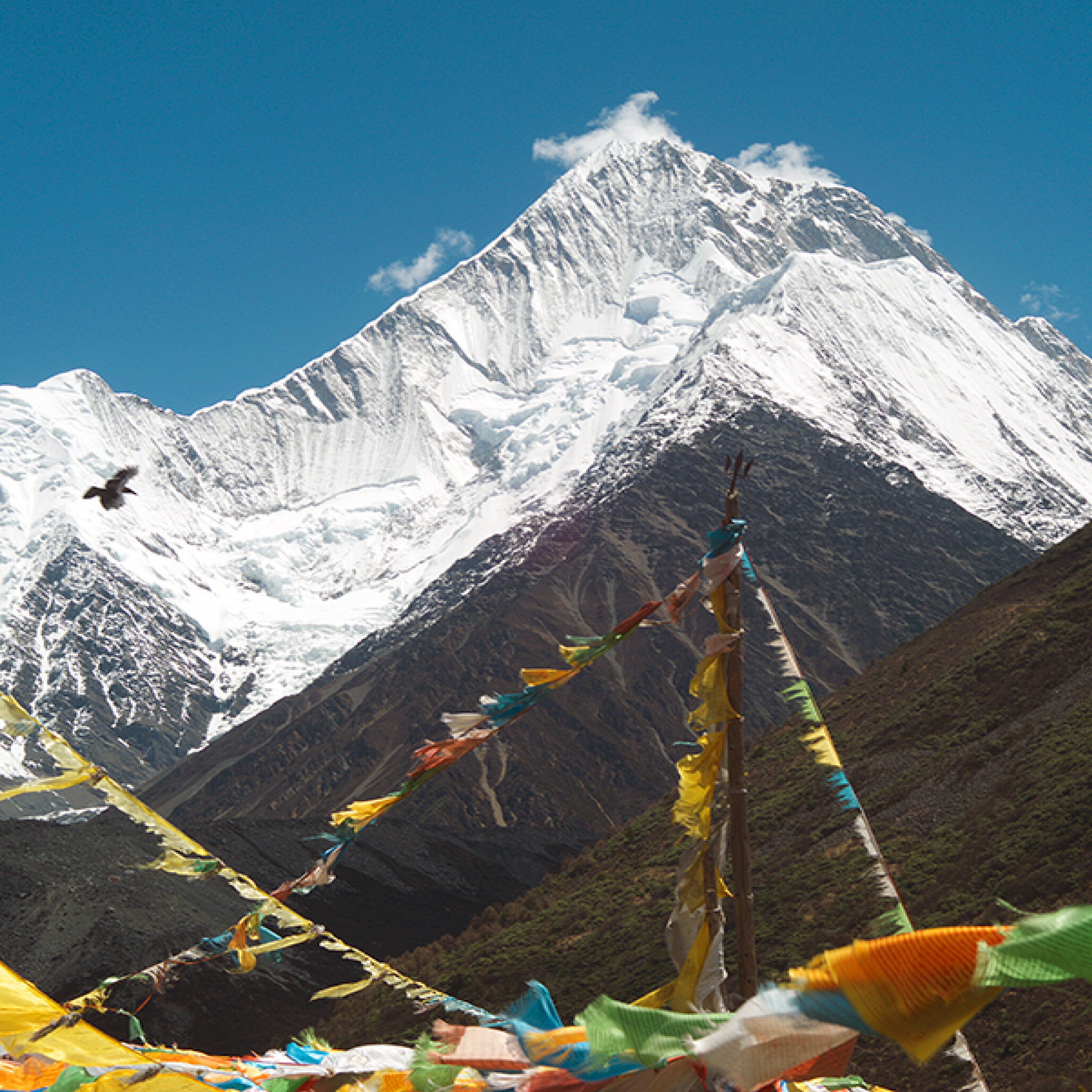 Tibet – Pilgerwege und Götterberge Live-Reportage von Bruno Baumann