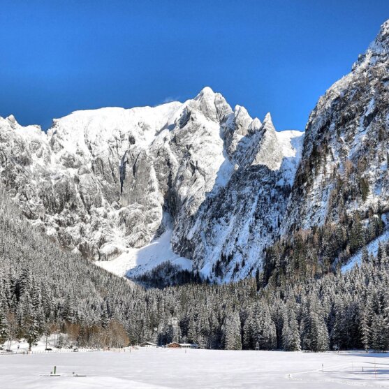 Heilklimatische Winterwanderung Scharitzkehlalm
