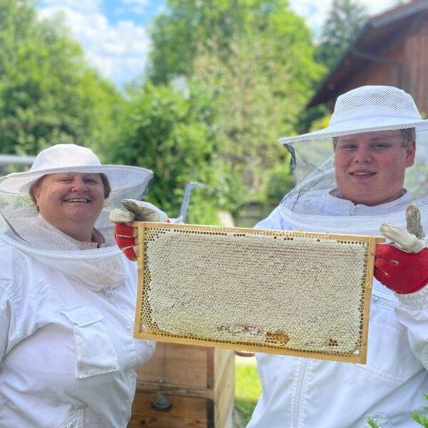 Imkerei-Bienen-Honig-Zeitlerei
