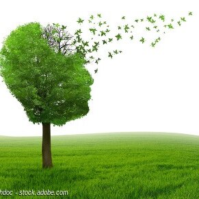 Online-Forum: Demenz in der Familie