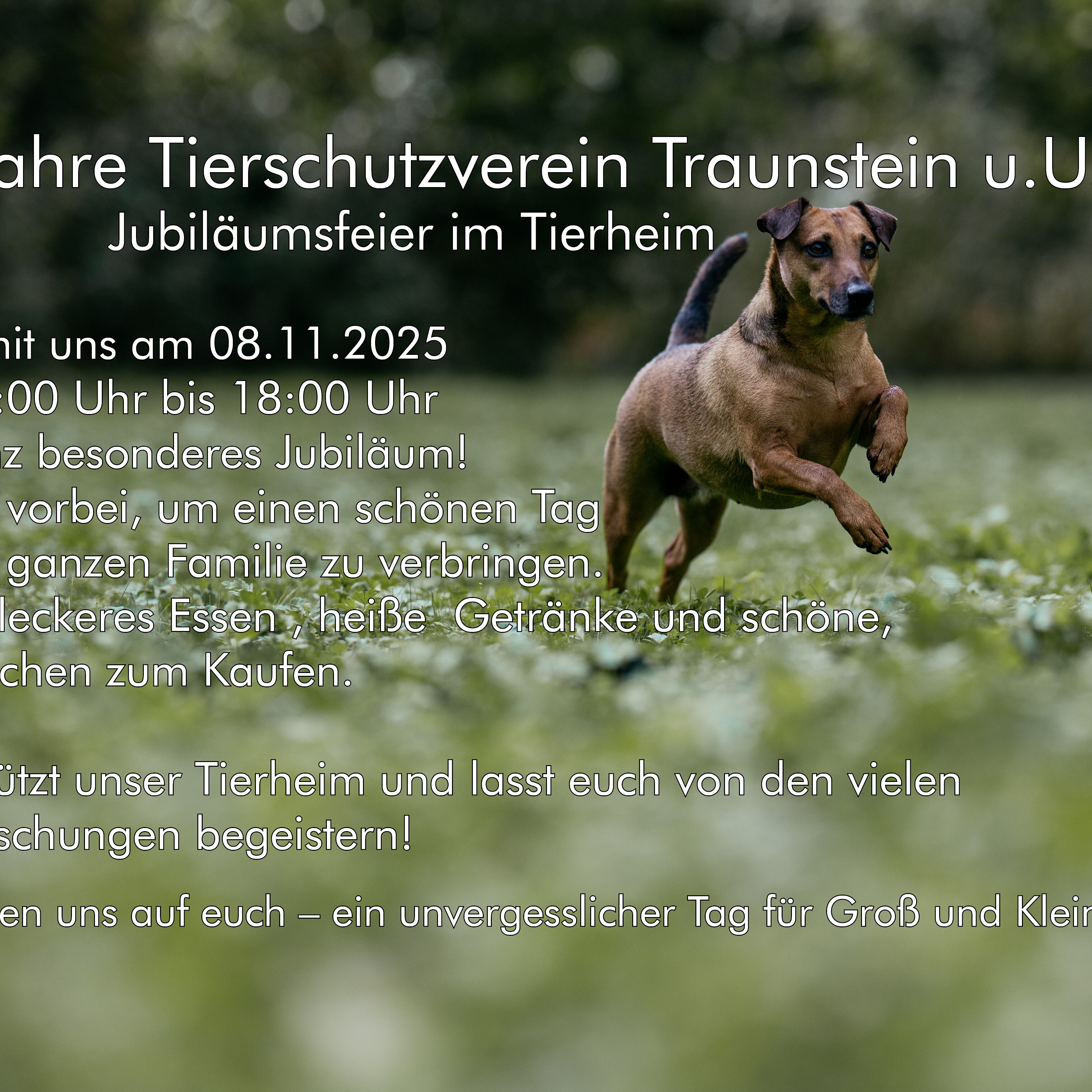 70 Jahre Tierschutzverein Traunstein u.U.e.V.