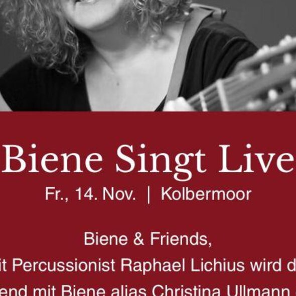 Biene Singt, Live im Baristro
