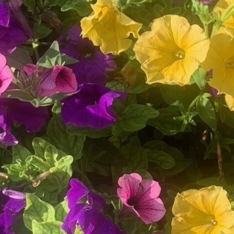 Aibling Gemeinsam - Treffen