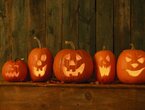 Halloween - Basteln im Tierpark