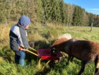 Zwergerltreff | Gruppe II - donnerstags
