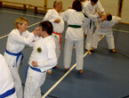 Karate Neueinsteigerkurs für Erwachsene ab 18 Jahre
