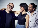 MUSIK IM RATHAUS: STEFANIE BOLTZ Trio - Female