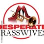 Desperate Brasswives - Heat the Beat - Clubtour