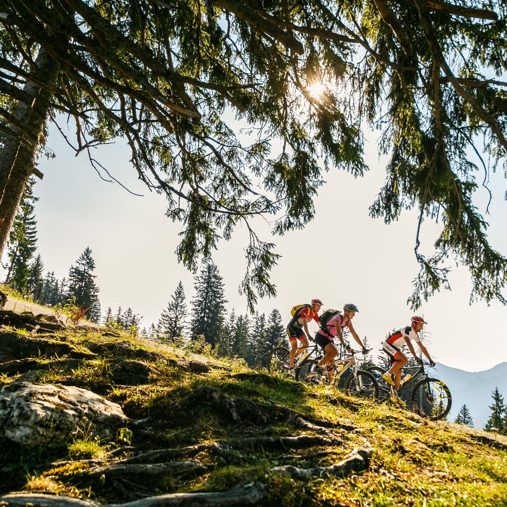 Geführte Erlebnistouren - E-Bike Tour: Chiemgauer Alpen, Alm und Seenwelt